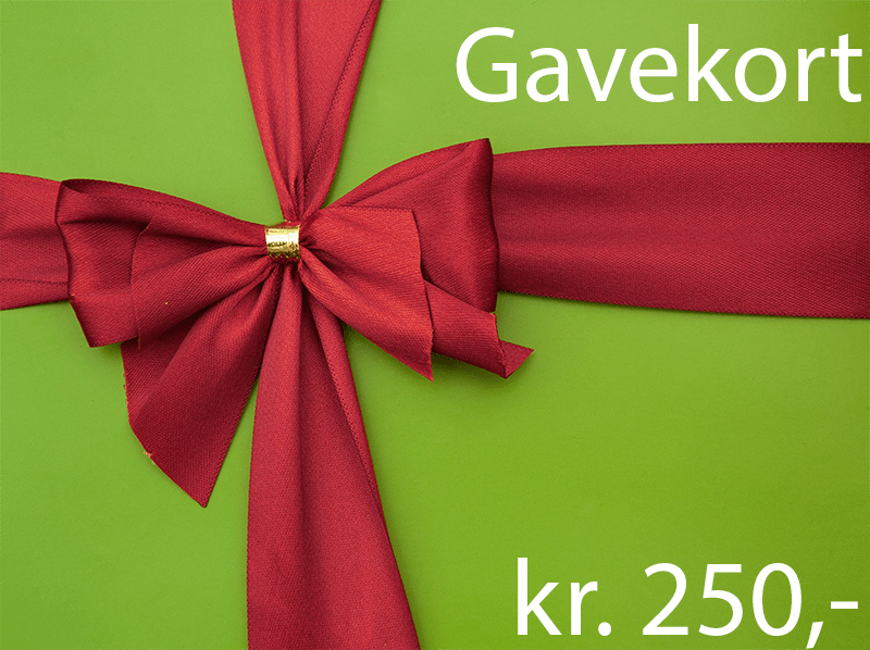 Køb Gavekort til behandlinger udført af elev hos Viborg Helsepraktik